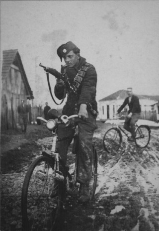 previslav_milovanovic_ebir